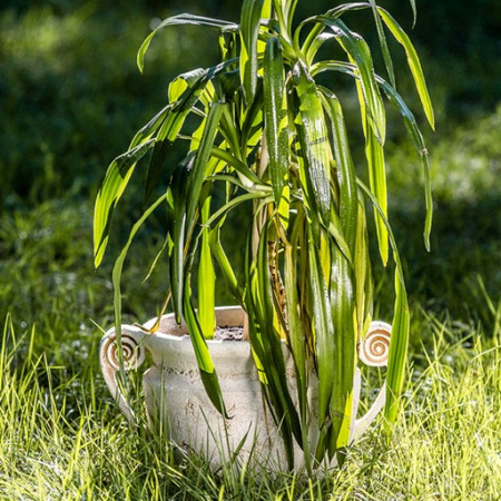 Крынка Крынка