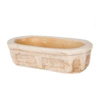 Кактусница