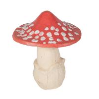 Гриб мухомор