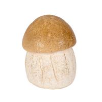 Гриб белый малый