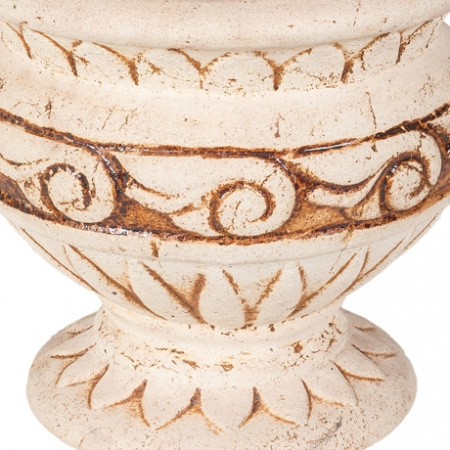 Вазон Медиус