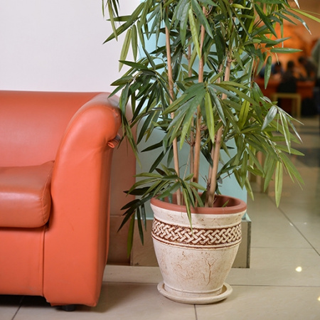 Ламия Ламия