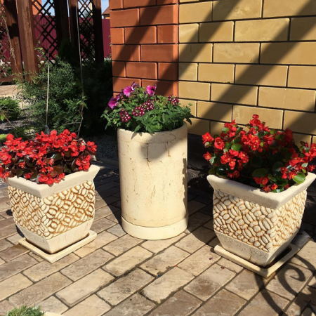 Орфия №1 Орфия №1