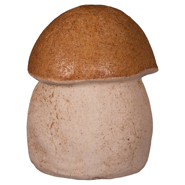 Гриб белый малый