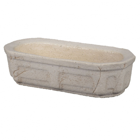 Кактусница