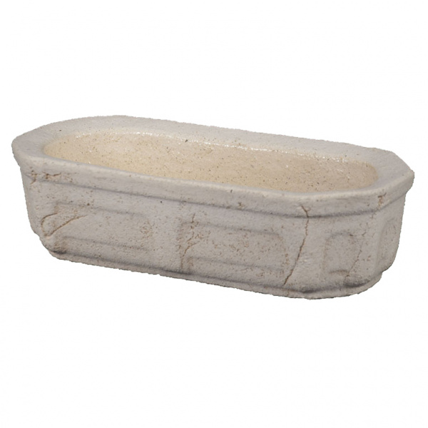 Кактусница