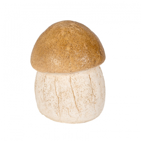 Гриб белый малый