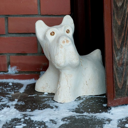 Собака Кнопа