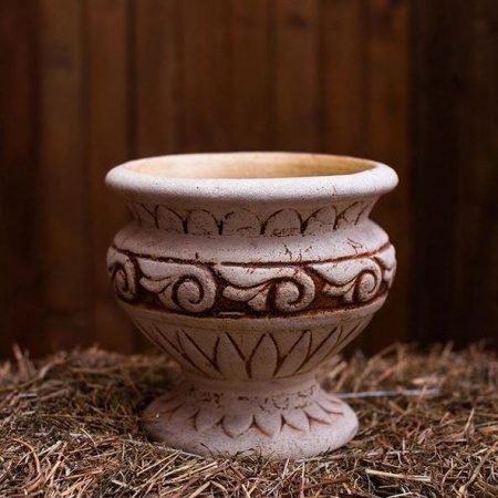 Вазон Медиус