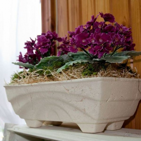 Неаполь Неаполь