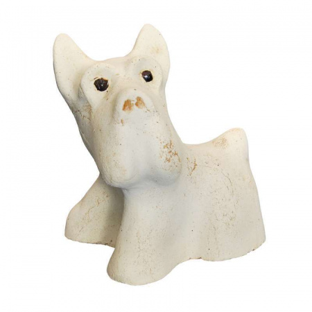 Собака Кнопа