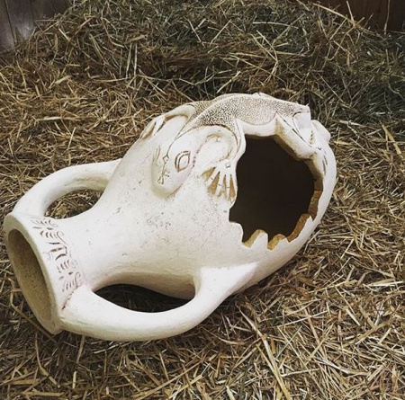 Амфора ящерица