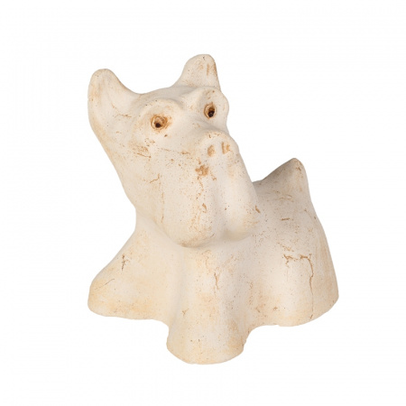 Собака Кнопа