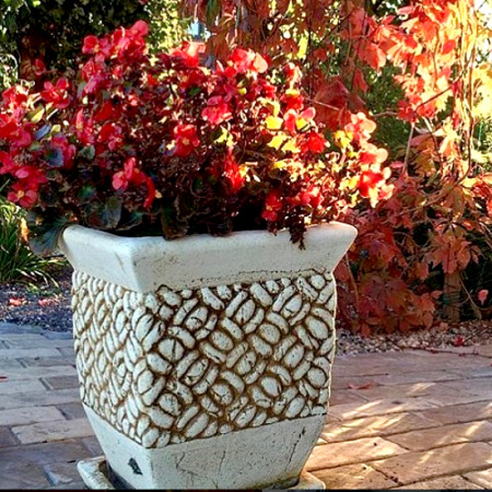 Орфия №1 Орфия №1